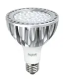 PAR 30 EcoLED 26W