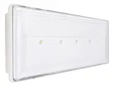 Pratica IP42