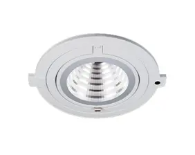 Downlight