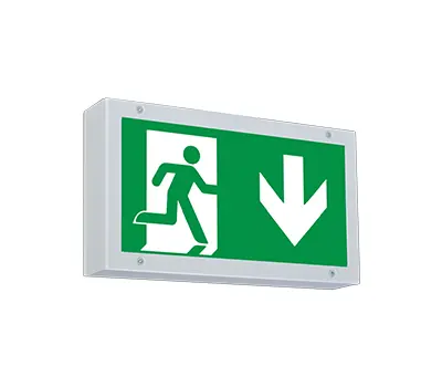 Variable Rettungszeichen- und Sicherheitsleuchte