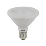 PAR 10W