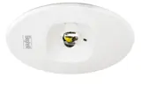 Pluraluce Recessed