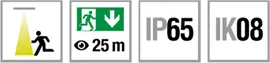 Variable escape sign and safety luminaire