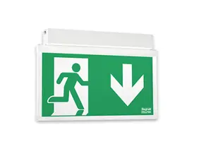 Escape sign luminaire