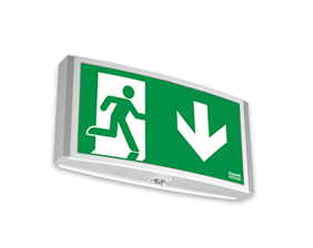 Combined escape sign & safety luminaire
