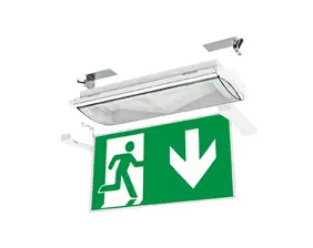 Variable escape sign and safety luminaire