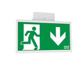 Variable escape sign and safety luminaire