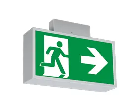 Variable escape sign and safety luminaire