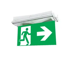 Variable escape sign and safety luminaire