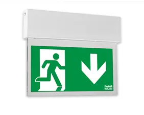 Escape sign luminaire