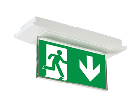 Variable escape sign and safety luminaire