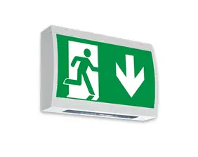 Escape sign luminaire