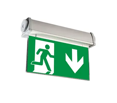 Variable escape sign and safety luminaire