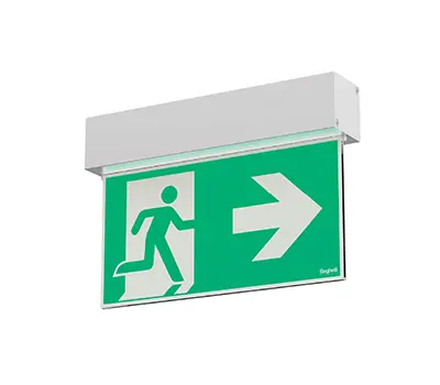 Escape sign luminaire