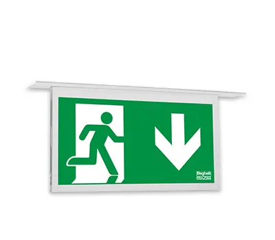 Escape sign luminaire