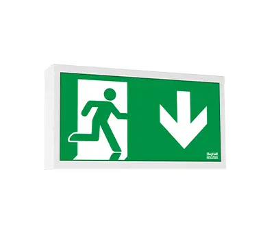 Variable escape sign and safety luminaire