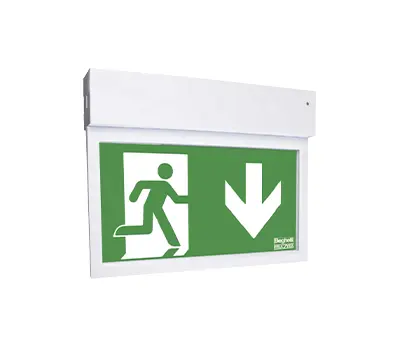 Escape sign luminaire