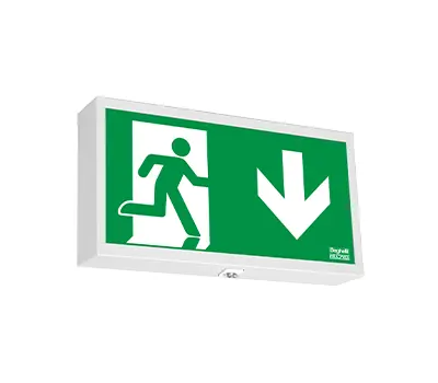Combined escape sign & safety luminaire