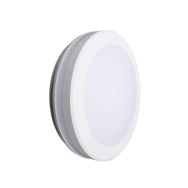 Wall and Ceiling: Full Moon Ring Lighting