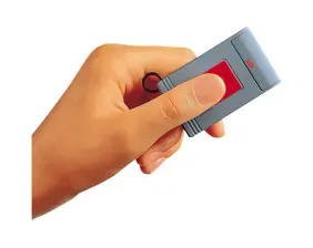Remote home alarm system with flood detector