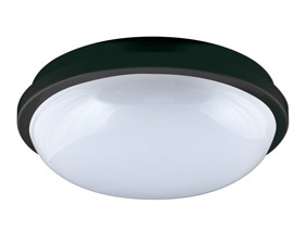 Waterproof LED ceiling light
