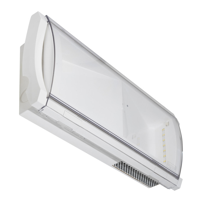Air sanitation integrated with emergency lighting