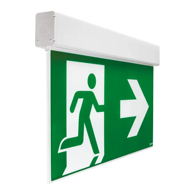 Safety sign luminaire