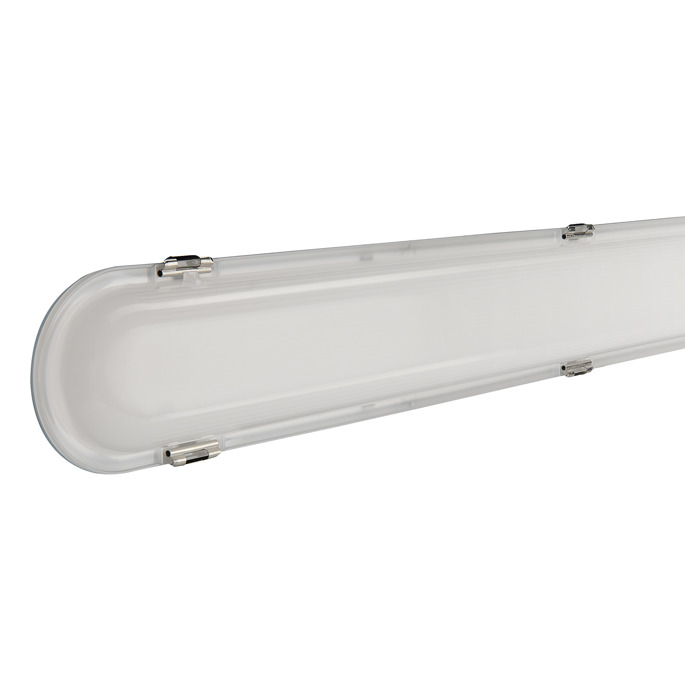Compact watertight ceiling light