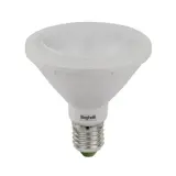 PAR 10W