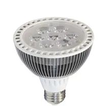 PAR 12W