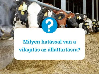 Milyen hatással van a világítás az állattartásra?