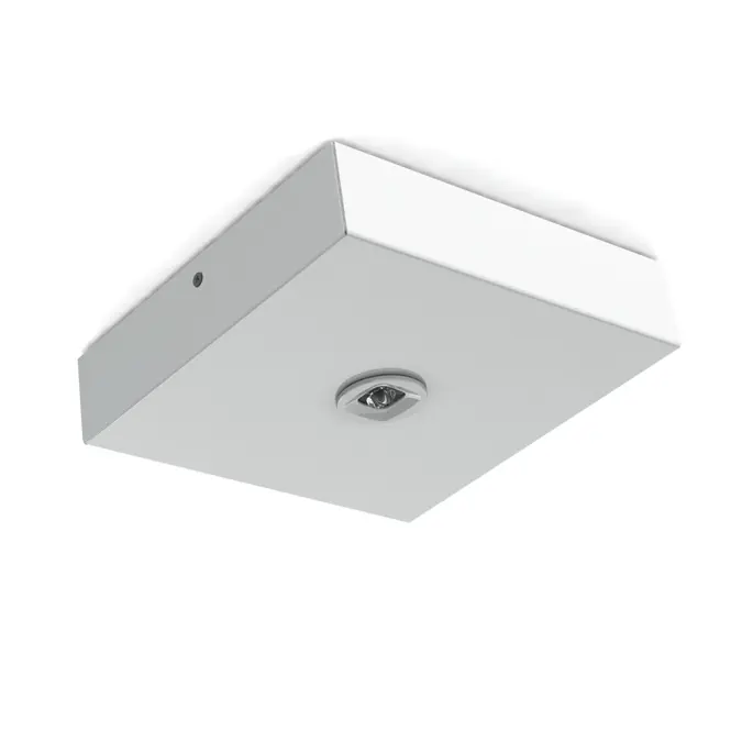 17953 - MICRODOT LG EPS P