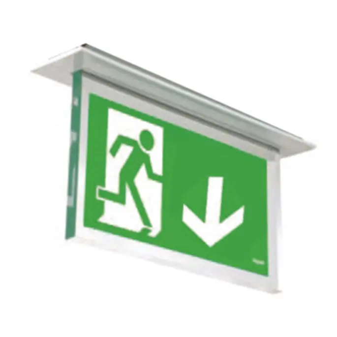 4312 - ACCESS INC CONT UPLED EXIT 20M