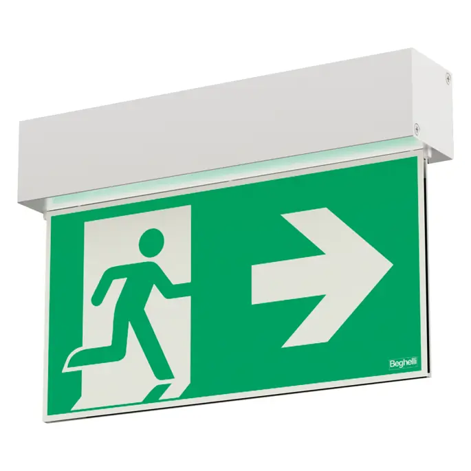 19810 - IRONFLAG CT 20M SA LF