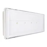 Plafoniera Emergenza LED Beghelli BEG824M – Auto Diagnosi, Vetro E Policarbonato, Multicolore, Per Illuminazione Di Sicurezza