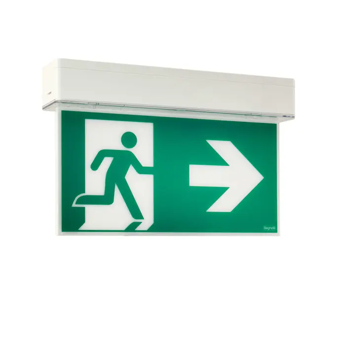 Una soluzione distintiva 2-in-1 che unisce segnaletica e illuminazione di emergenza.