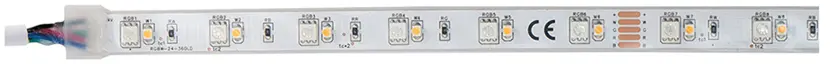 Strip EcoLED RGBW IP65 foto