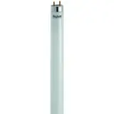 Tubo Standard T8